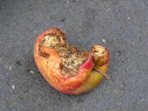 rotten-apple